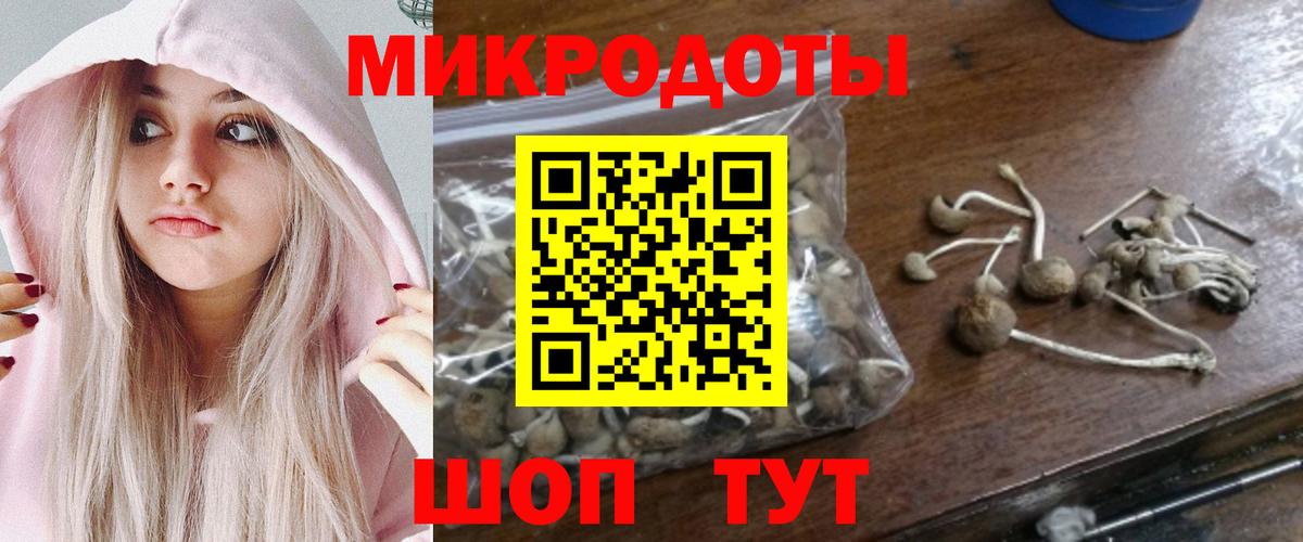 Галлюциногенные грибы MAGIC MUSHROOMS  Вход с VPN  Новозыбков  Галлюциногенные грибы мухоморы 